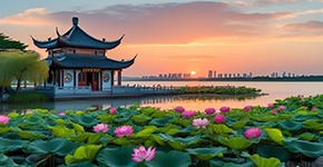 C1线华东三市（上苏杭）+留园+灵隐